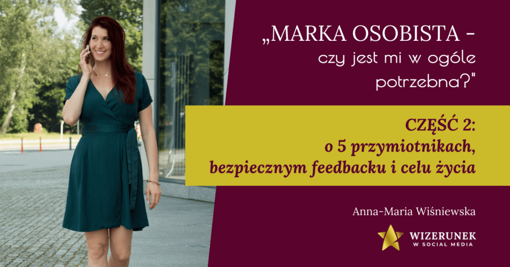 Anna-Maria Wiśniewska Wizerunek w social media